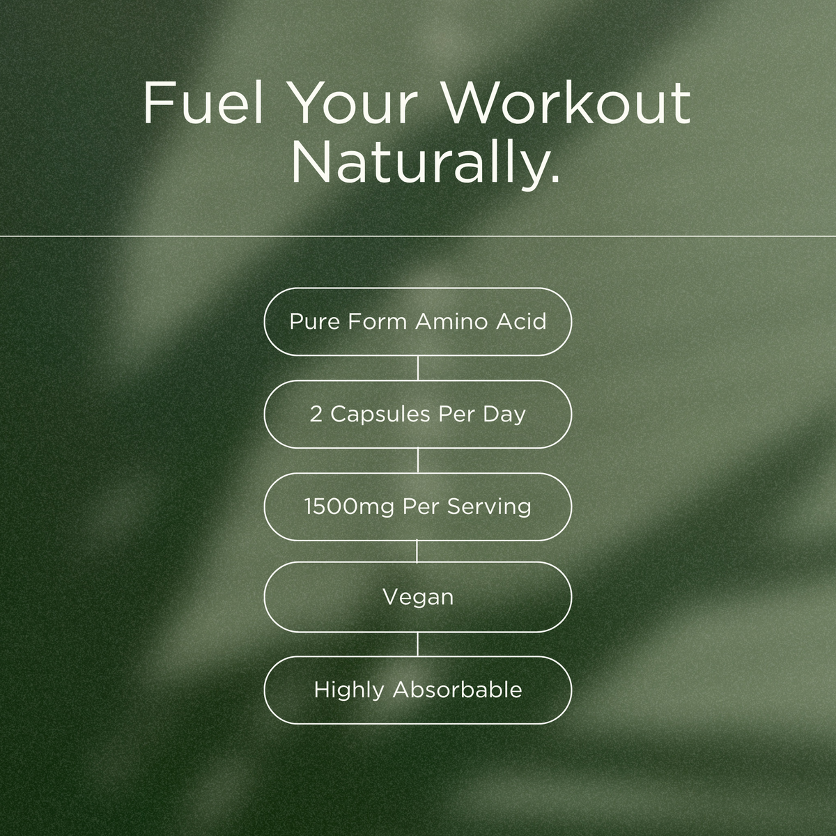L-Carnitine L-Tartrate
