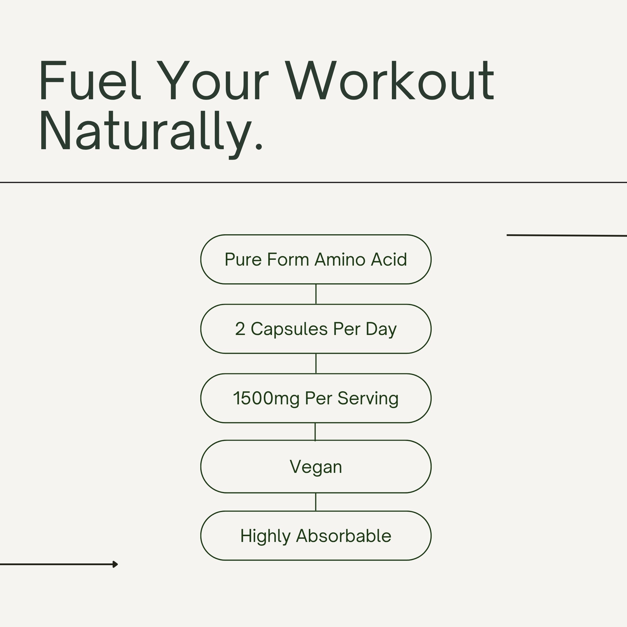L-Carnitine L-Tartrate