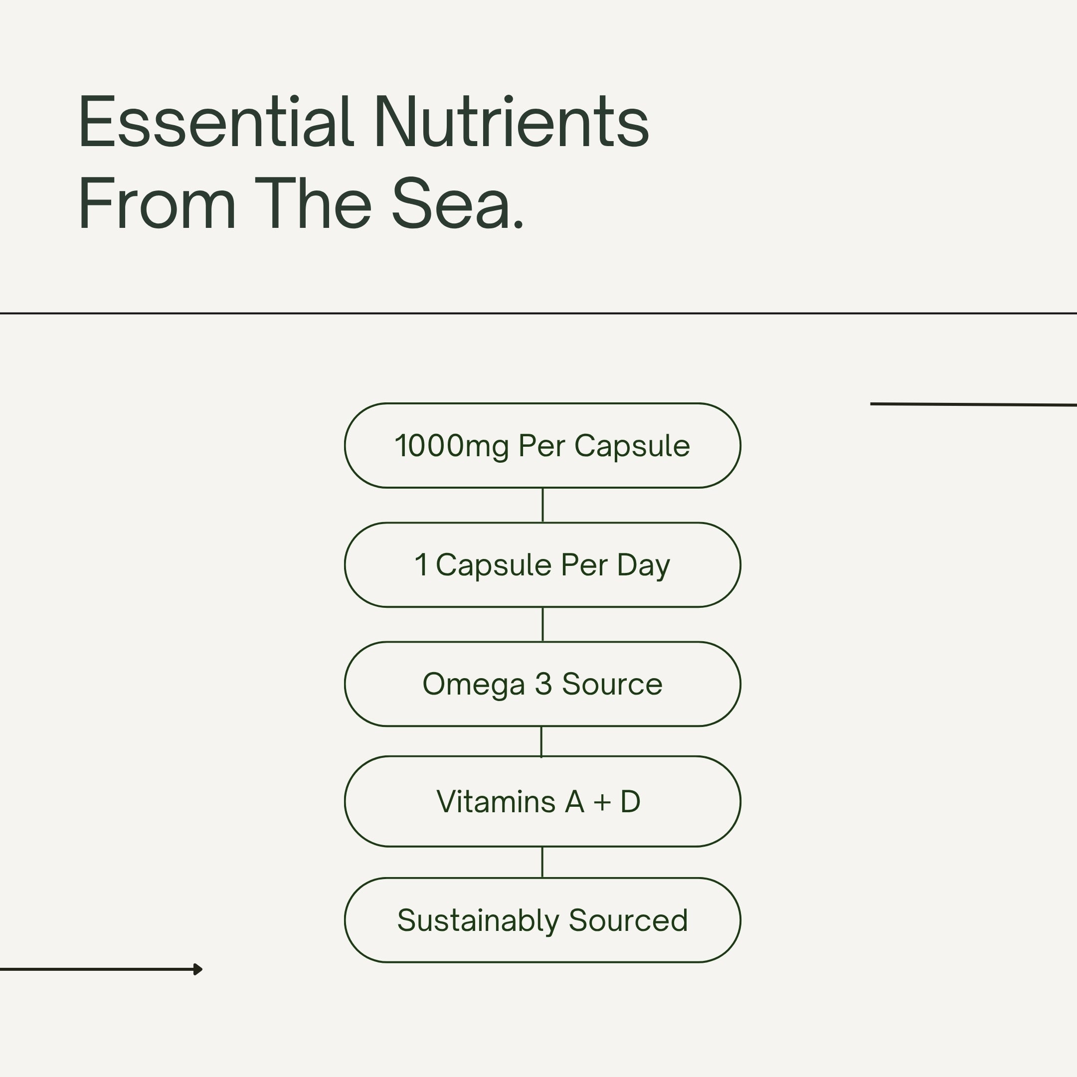 Cod Liver Oil 1000mg - Essential Omegas with Vitamins A & D