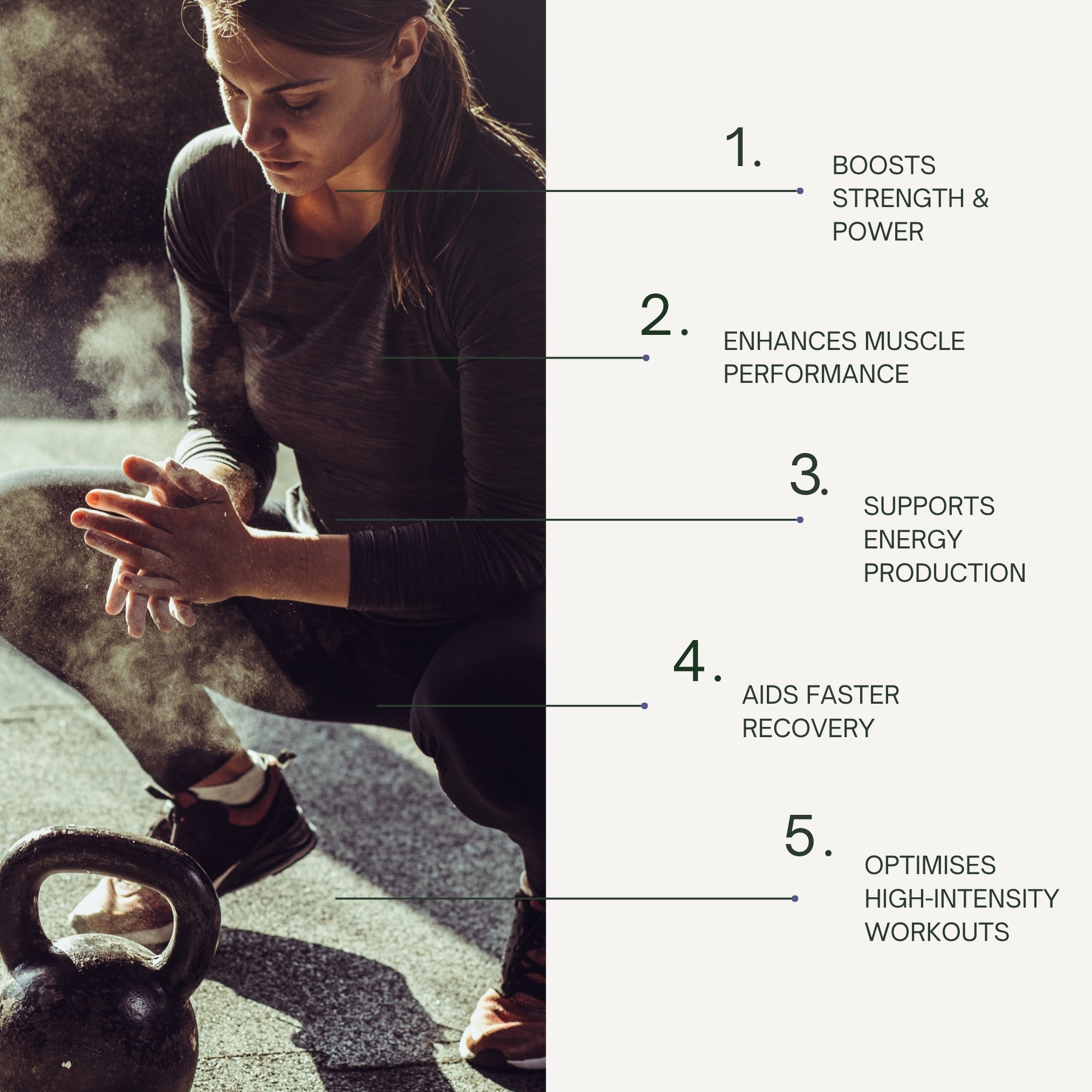 Creatine Monohydrate - Pure Micronised Powder