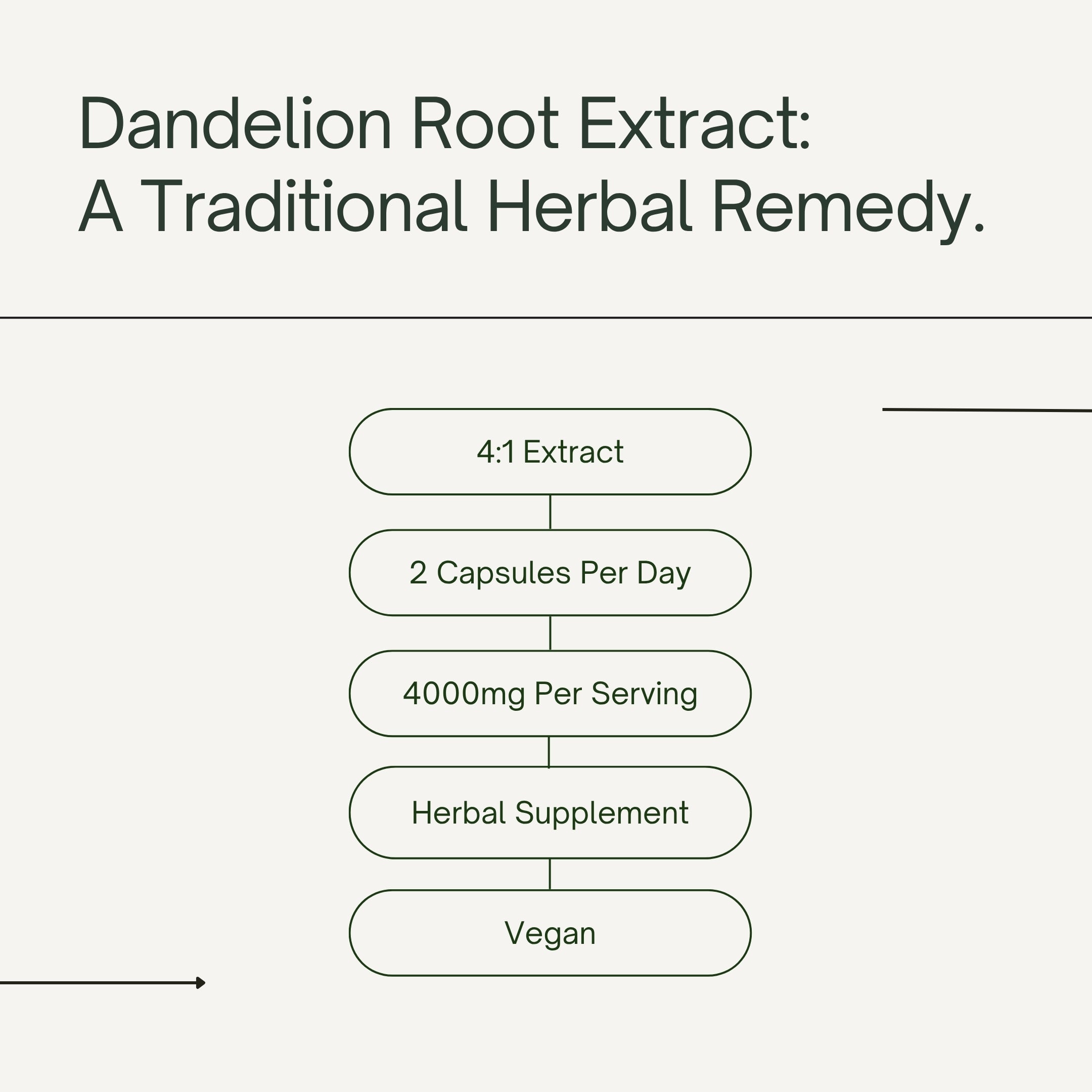 Dandelion Root Extract