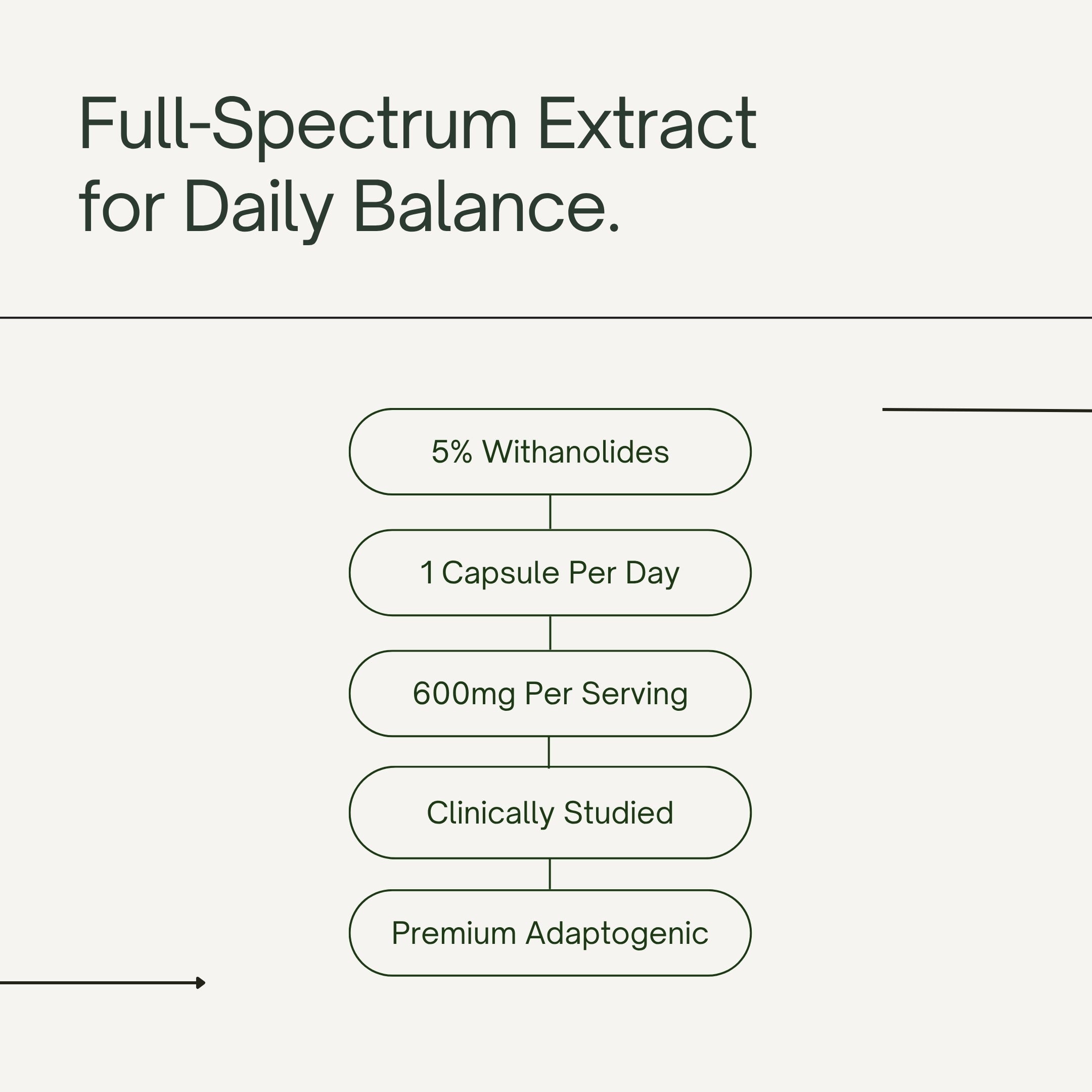 KSM-66 Ashwagandha 600mg