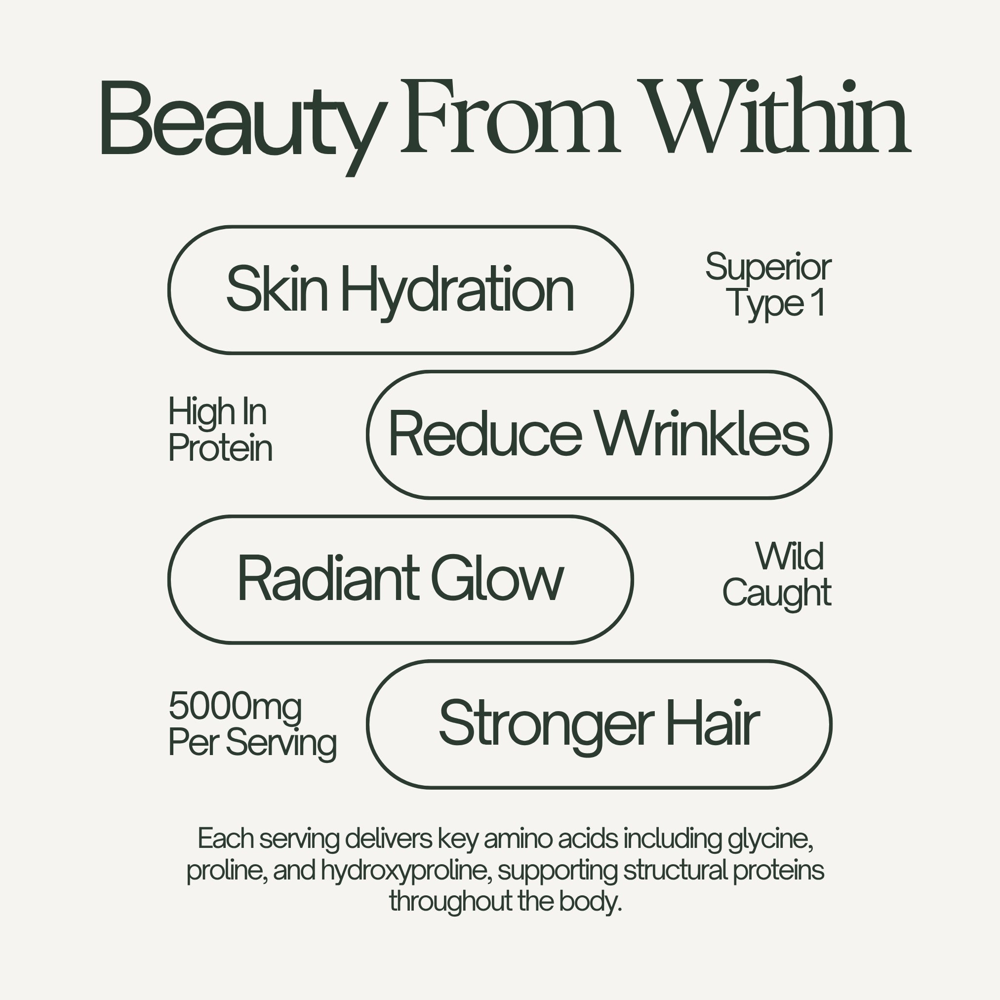 Pure Hydrolysed Marine Collagen Peptides Powder