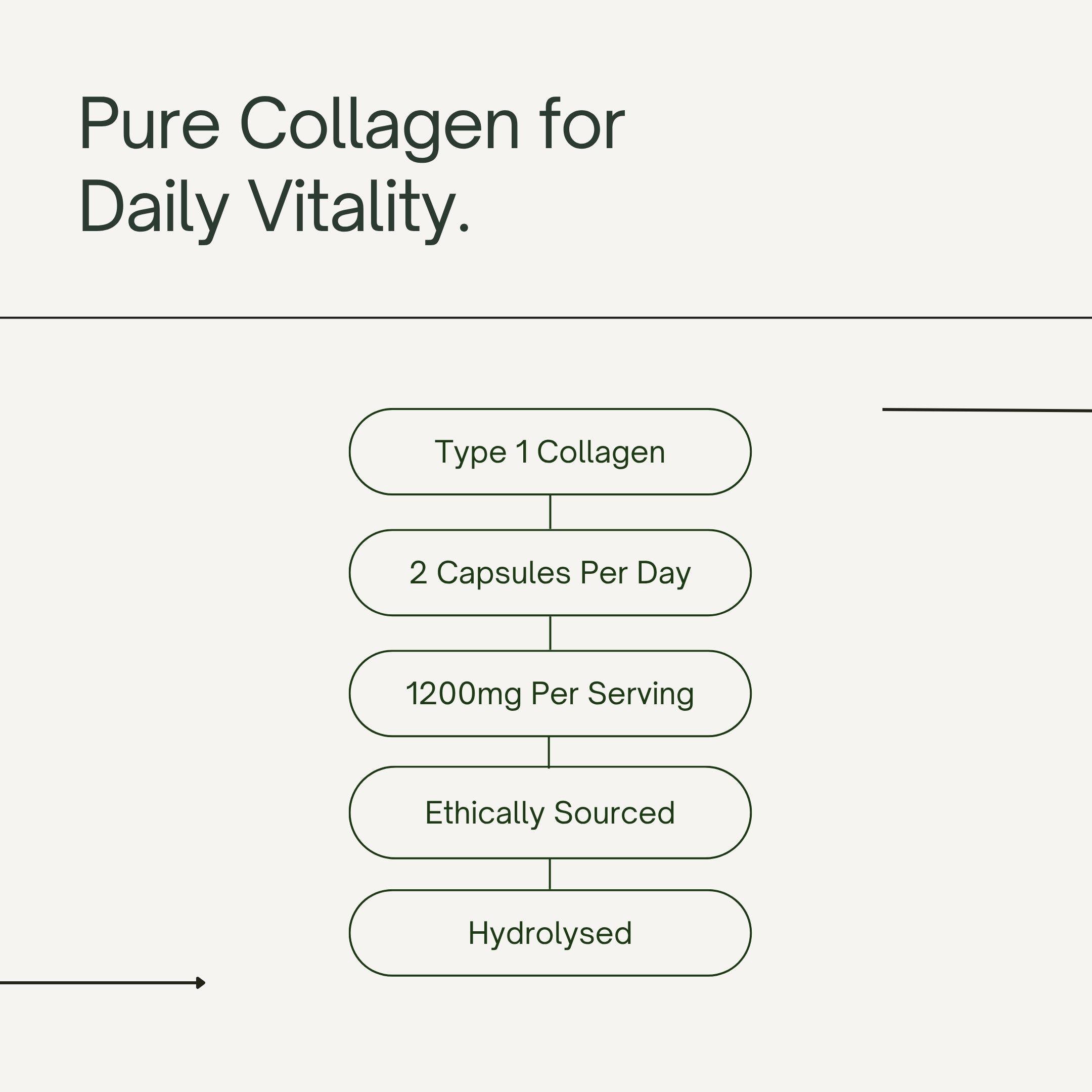 Pure Hydrolysed Marine Collagen
