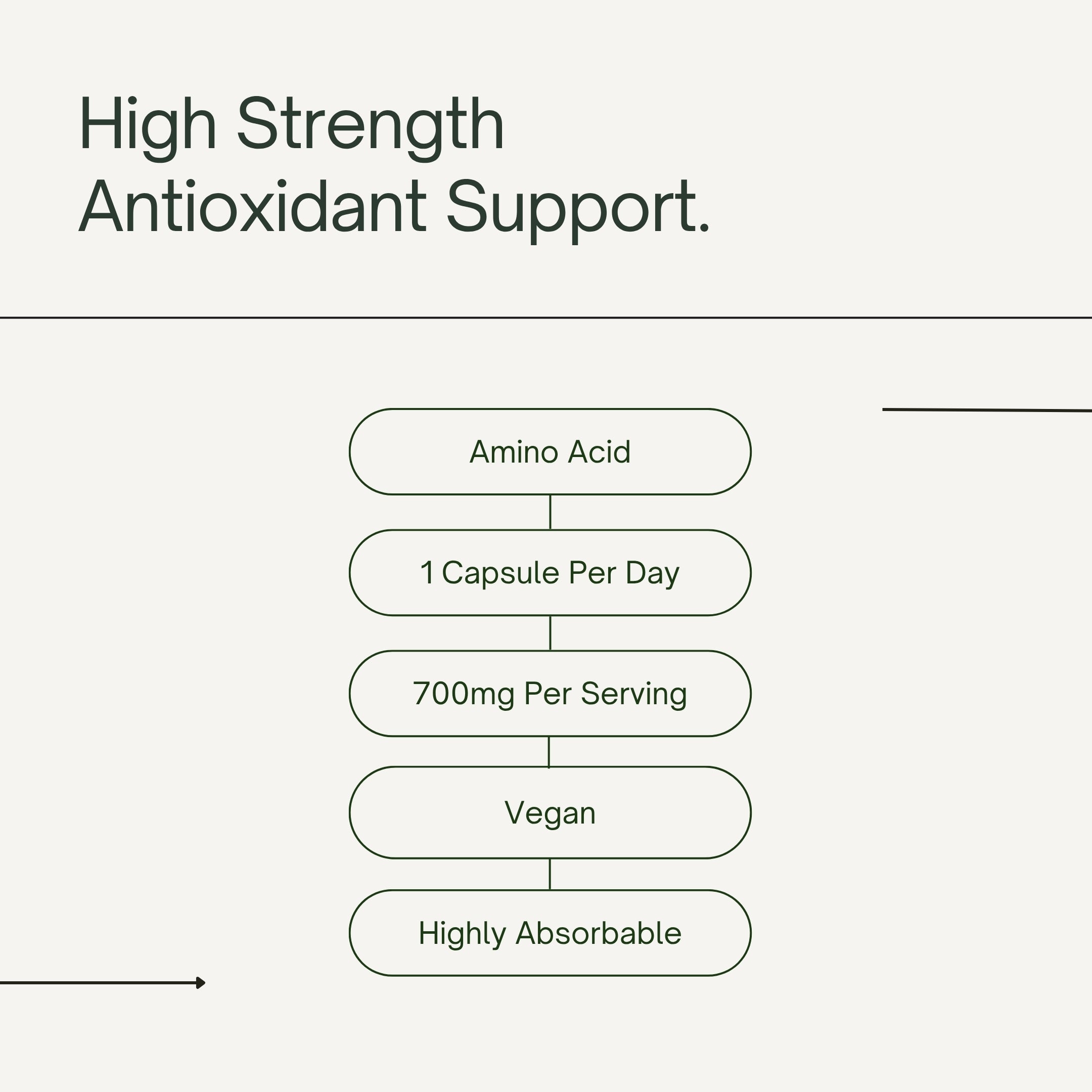 NAC N-Acetyl-Cysteine