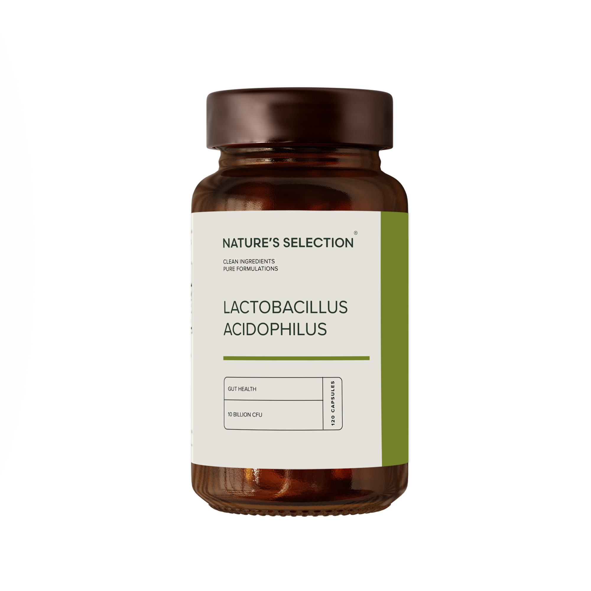 Lactobacillus Acidophilus 10 Bilion CFU