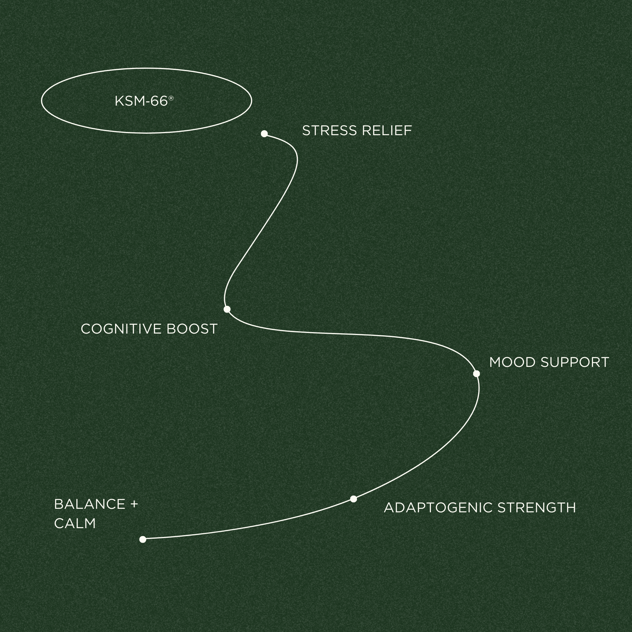 KSM-66 Ashwagandha 600mg