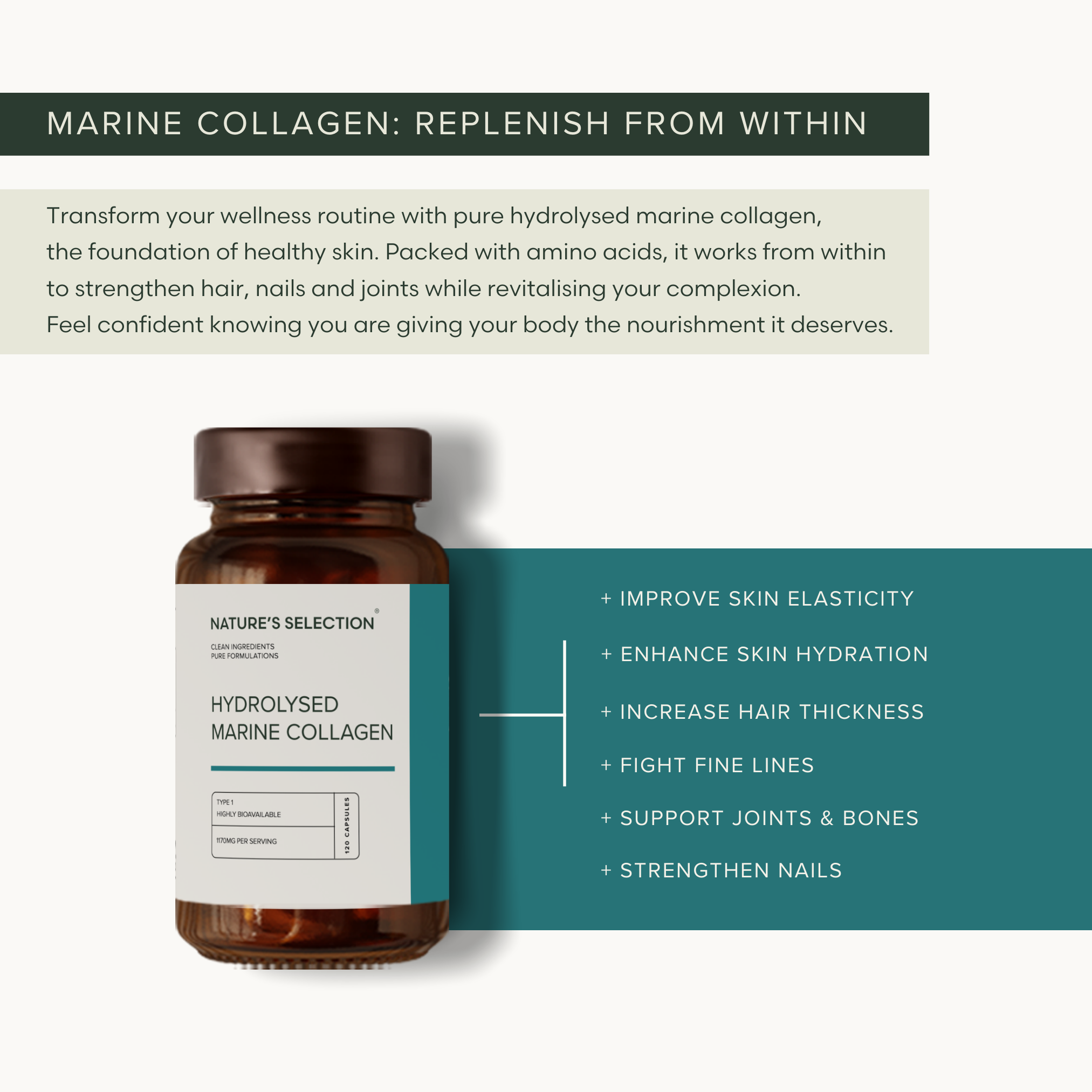 Pure Hydrolysed Marine Collagen
