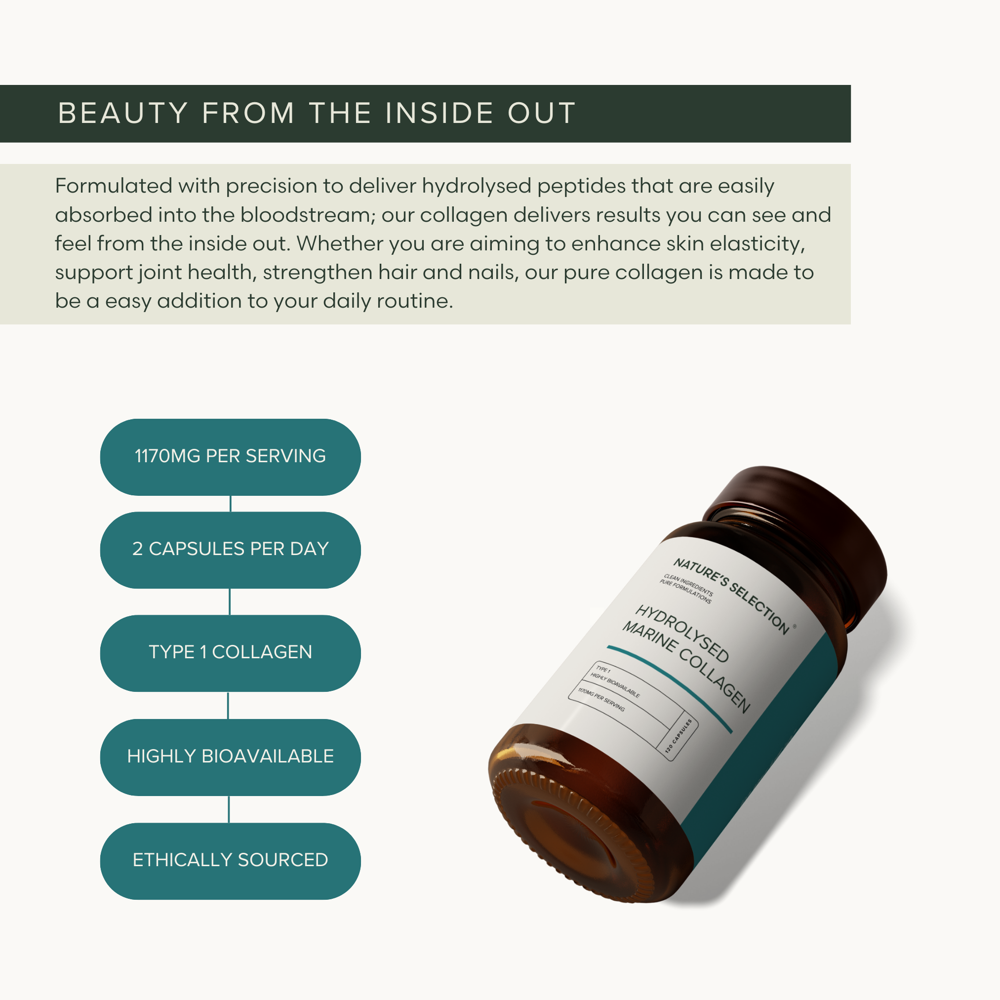 Pure Hydrolysed Marine Collagen