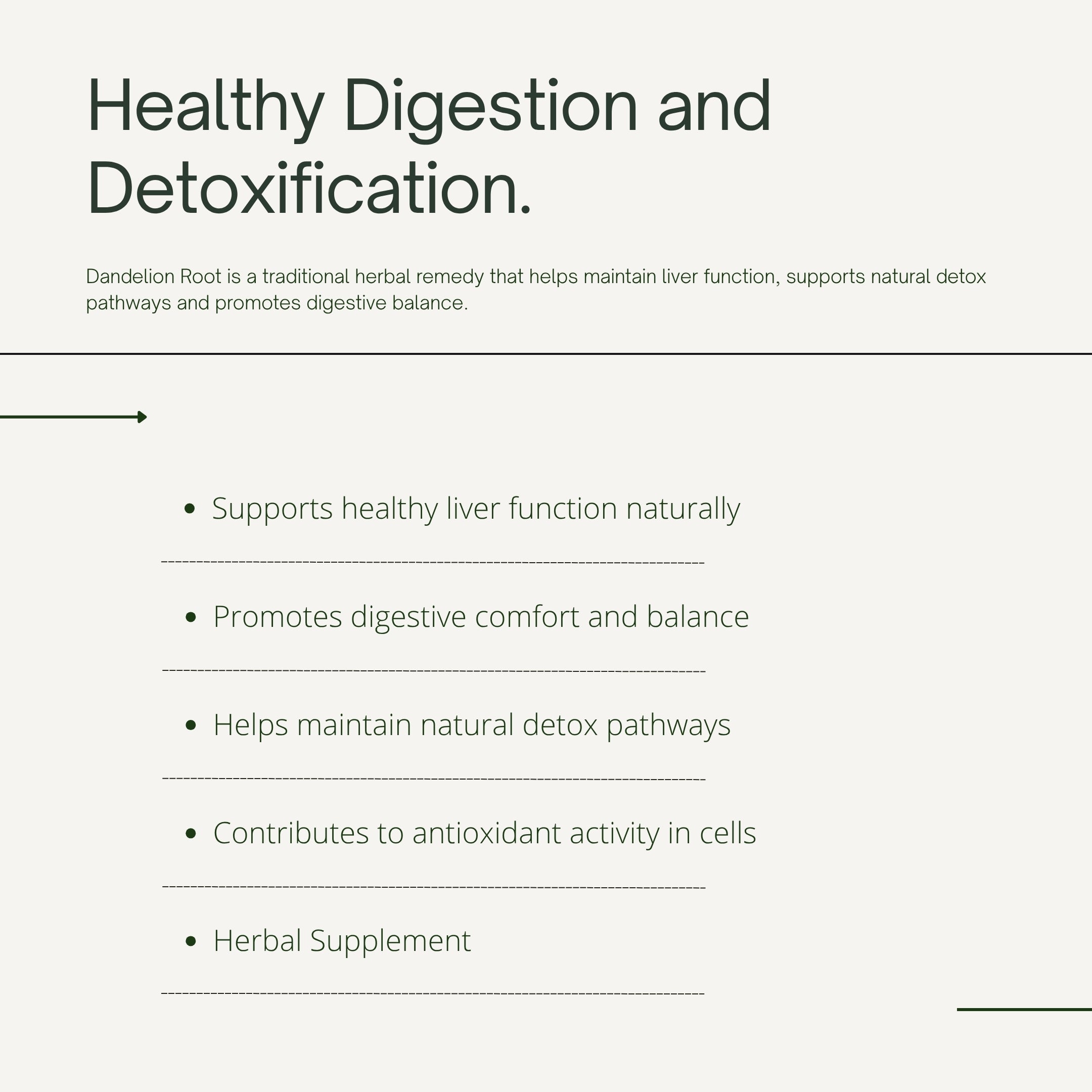 Dandelion Root Extract