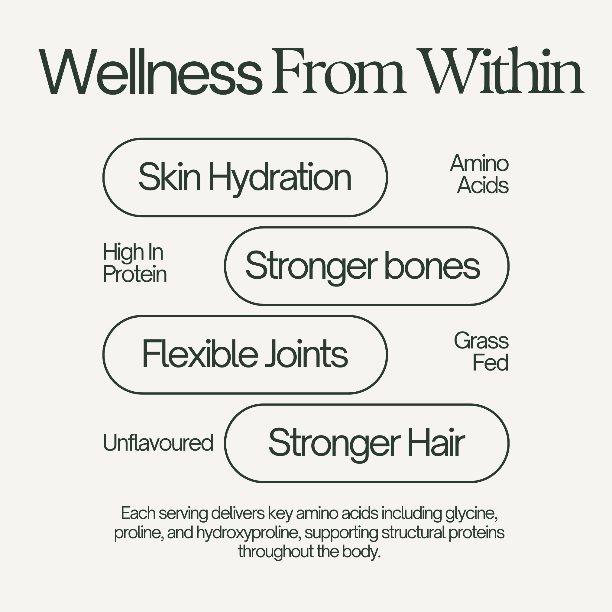 Pure Bovine Collagen Peptides Powder