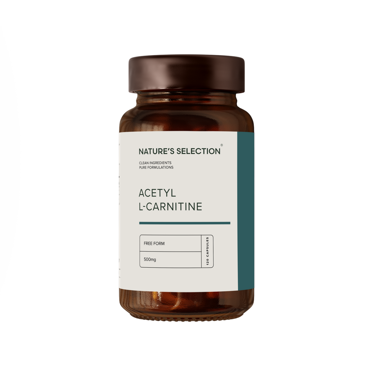 Acetyl L-Carnitine