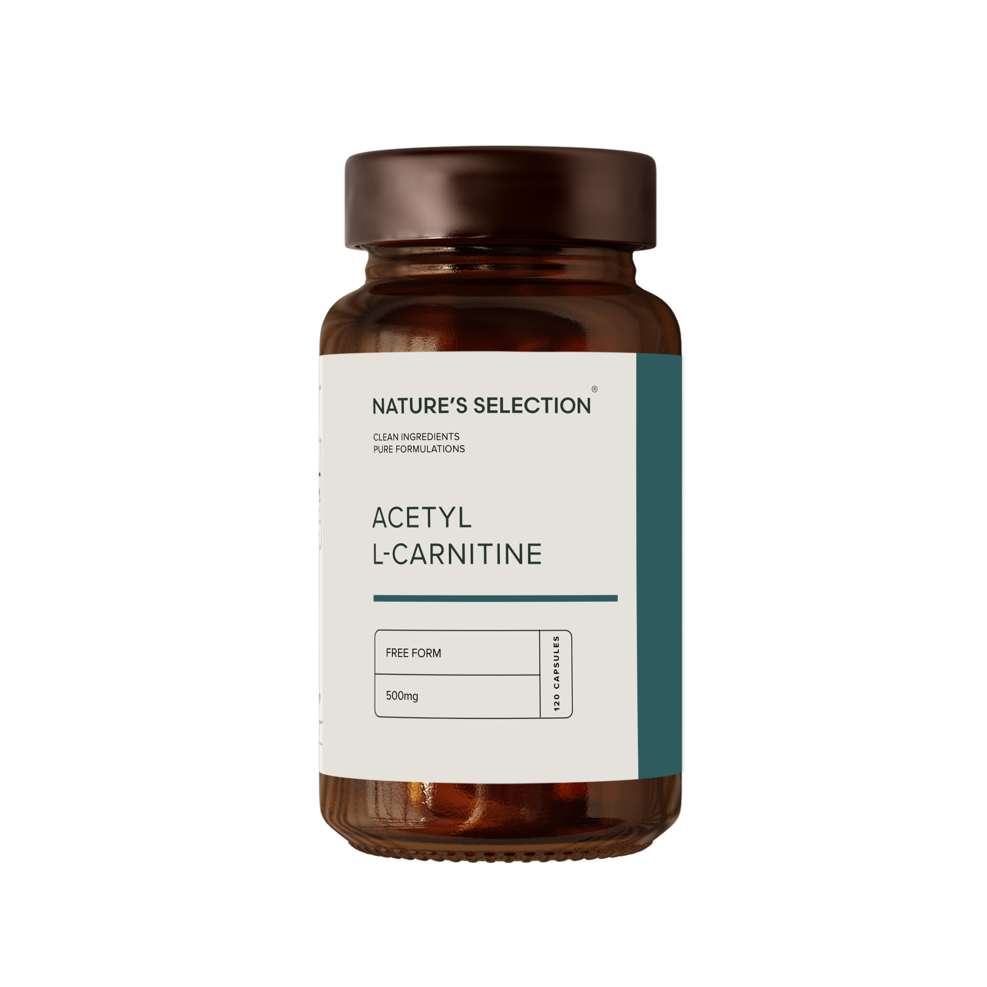 Acetyl L-Carnitine