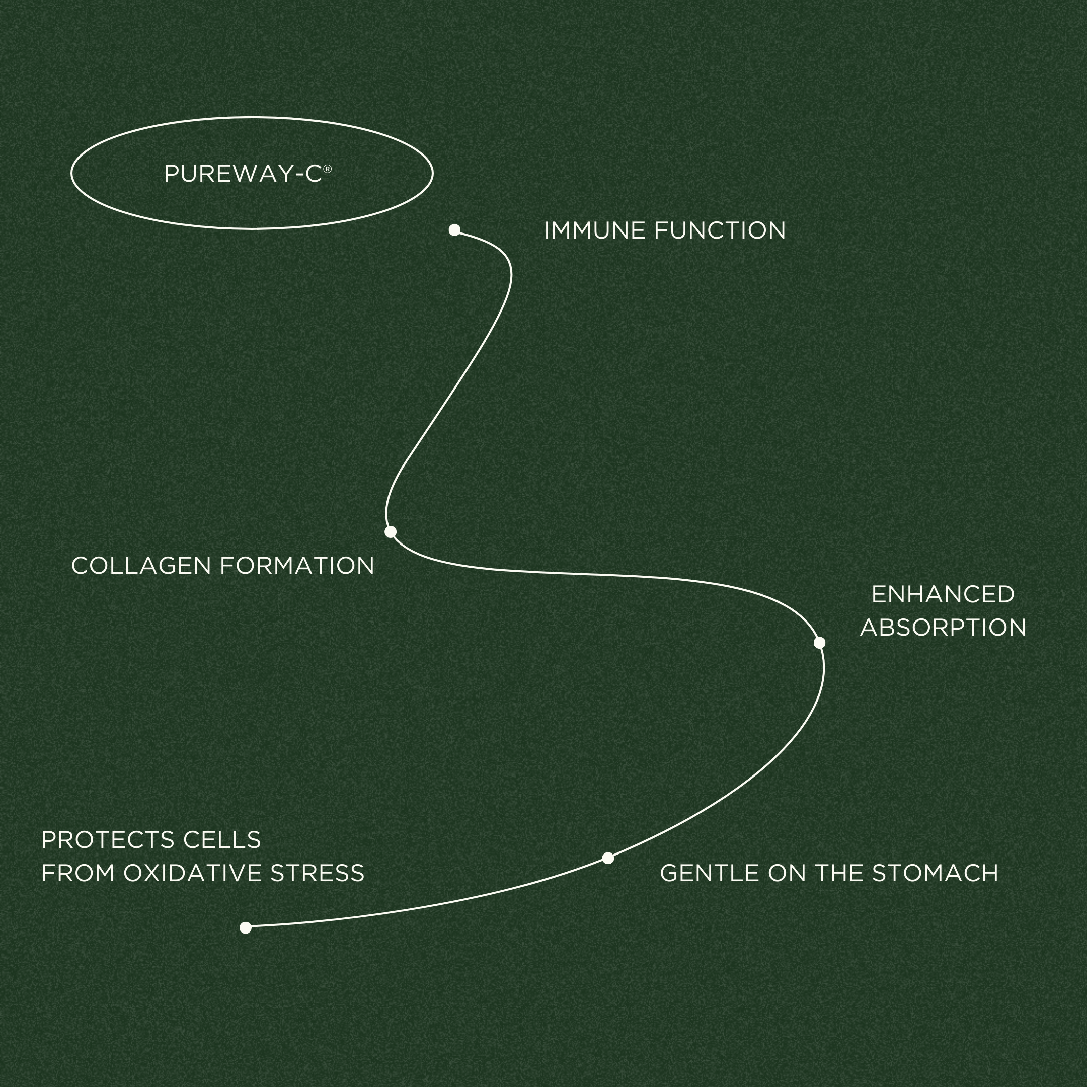 Vitamin C + Bioflavonoids (PureWay-C®)