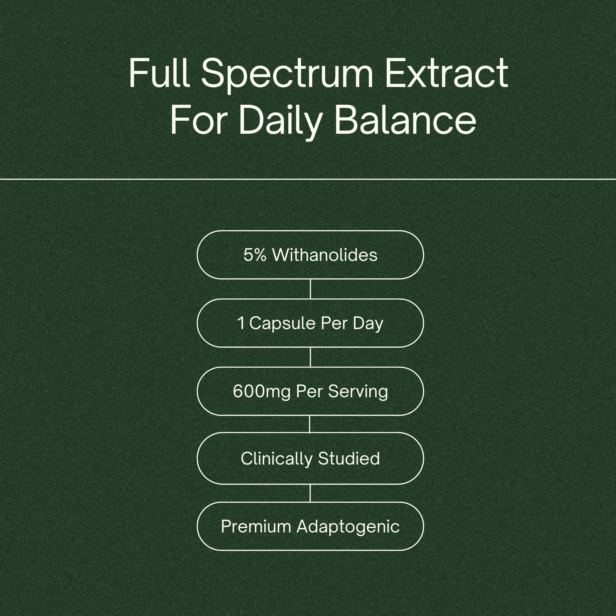 KSM-66 Ashwagandha 600mg