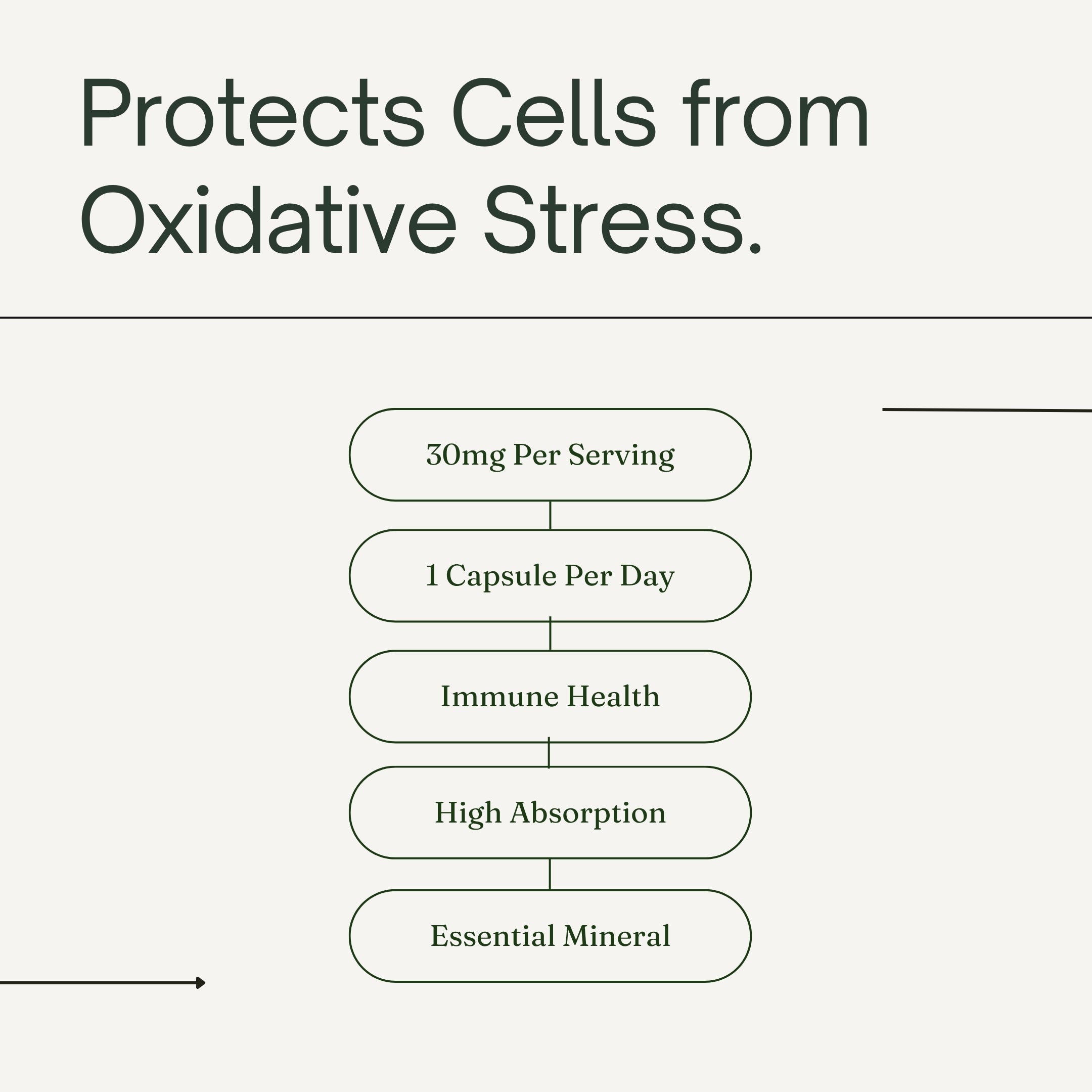 Zinc Picolinate - 30 mg